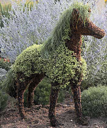 Mossed Horse Topiary