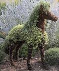 Mossed Horse Topiary