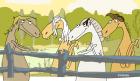 singing horses