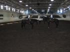 Royal Canadian Mounted Police