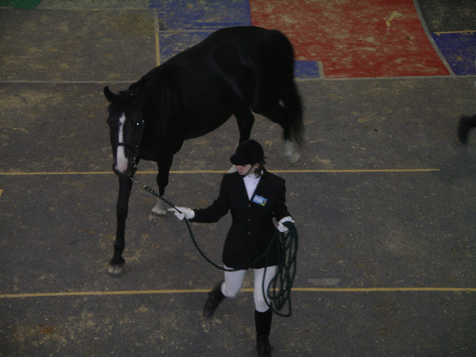  2007