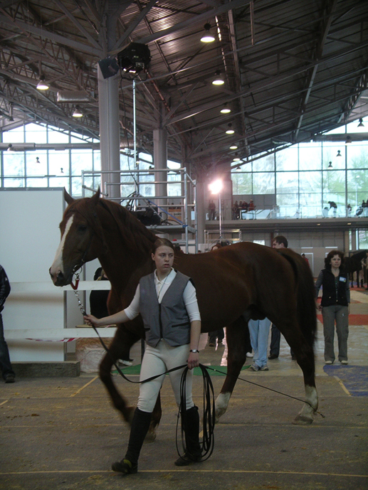  2007