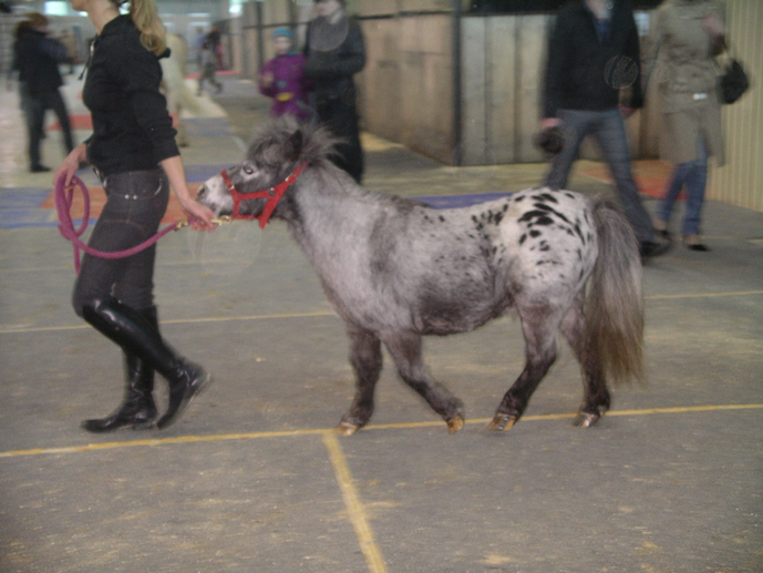  2007
