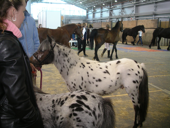  2007