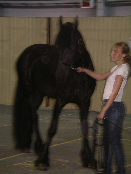  2007