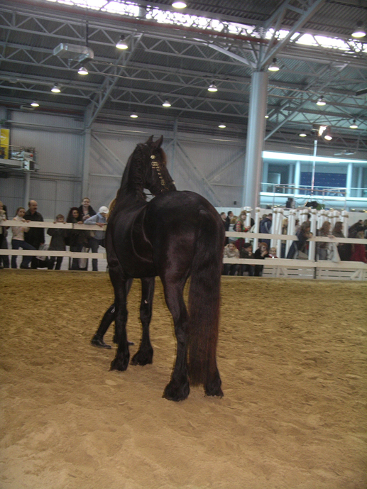  2007