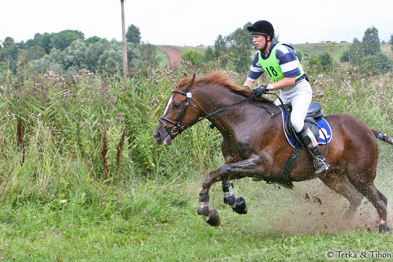 CIC 2* -   - 