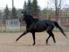 ������